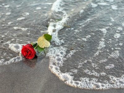 Coastal Cremation & Funeral Care