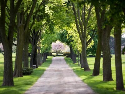 Shalom Memorial Park Jewish Funeral Home