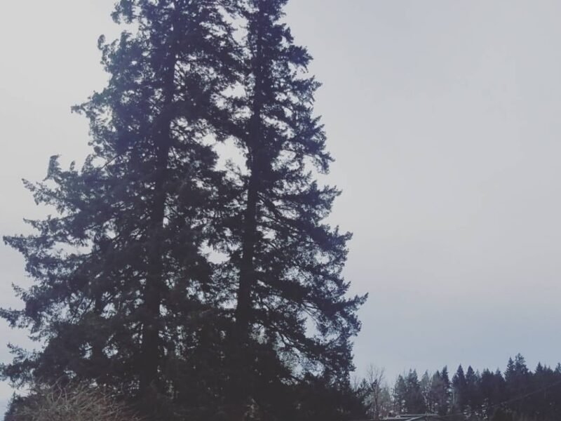 Cornerstone Funeral Services