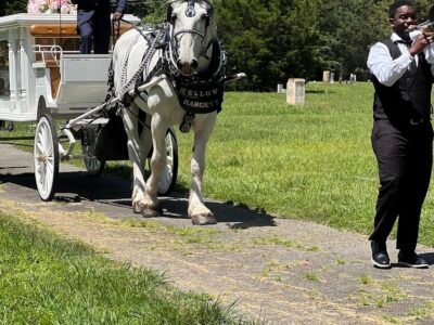 Hargett Funeral Service