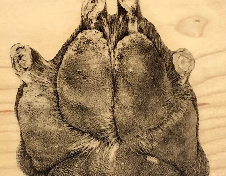 Pet After Life Services NW