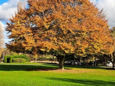 Wakefield Crematorium