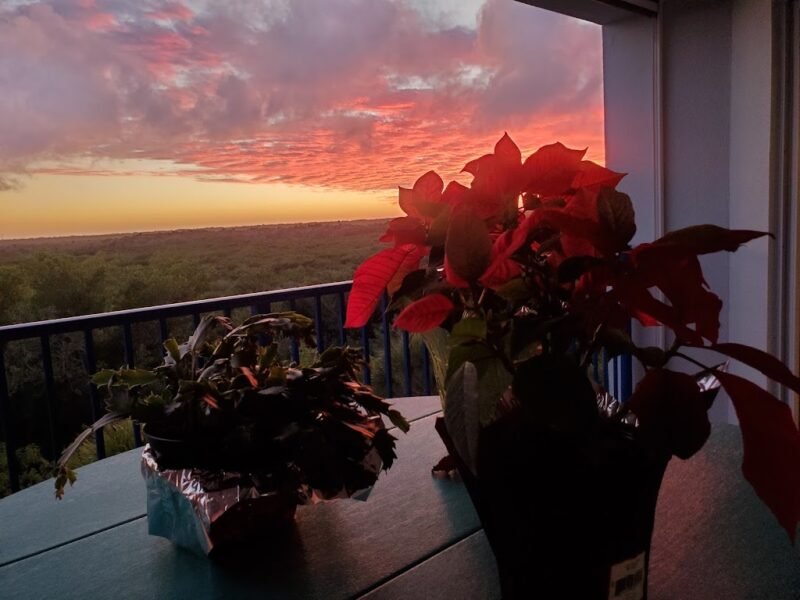 Gainous-Wynn Funeral Home Of New Smyrna Beach
