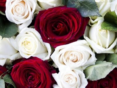 Hawthorne & Pierce Funeral Home