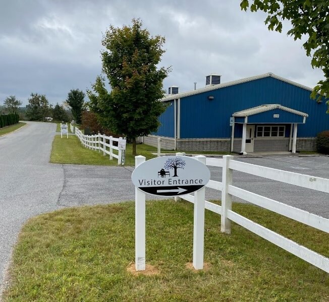 Going Home Cremation & Funeral Care by Value Choice, P.A.