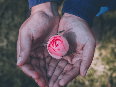 Westside Cremation & Burial Services