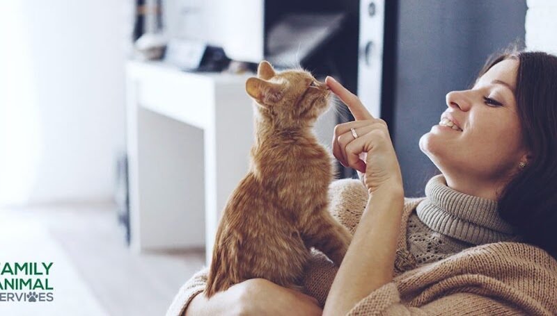 Family Animal Services of Utah