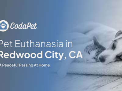 CodaPet - At Home Pet Euthanasia in Redwood City