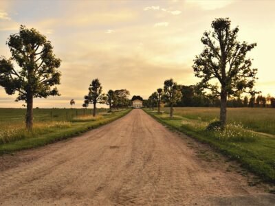 Ancient Burials - Funerals, Memorials & Preplanning