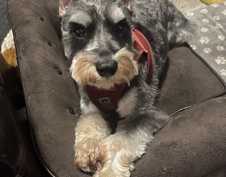 Russell Allen Wright, Sr. Mortuary LLC