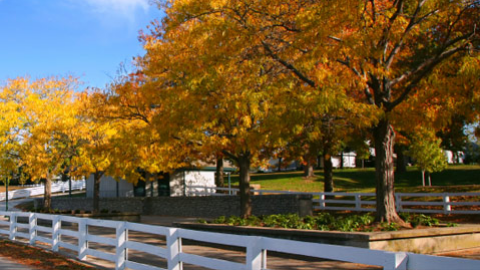 Dyer Funeral Home