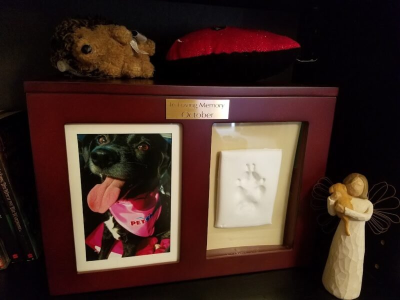 Faithful Forever Pet Loss Services-Greenbrier Apopka