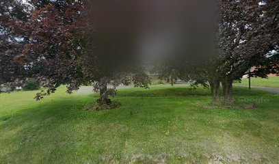 Meadows David L