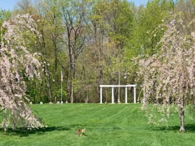 Pet Meadow