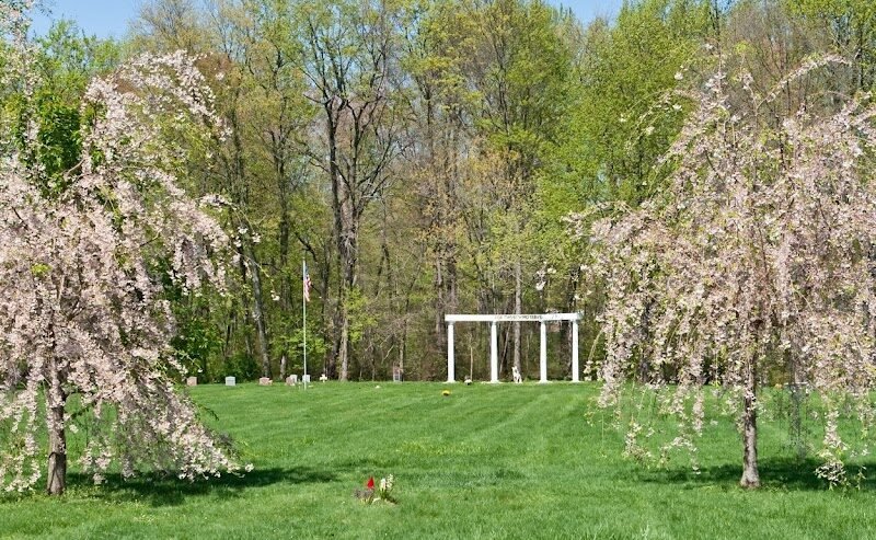 Pet Meadow