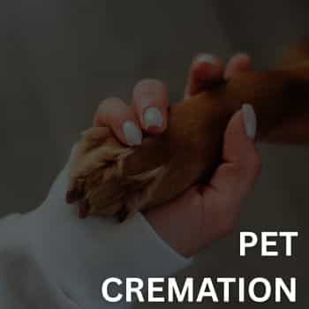 Pet Cremation service near