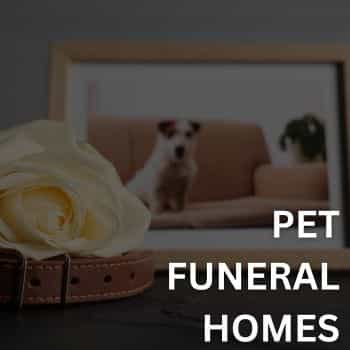 Pet Funeral Home