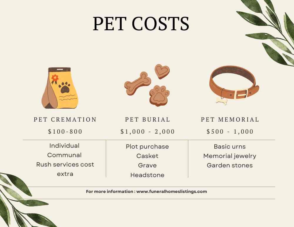 pet costs options